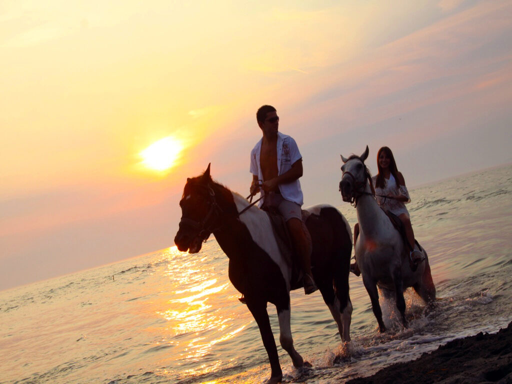 Horse riding by the sea